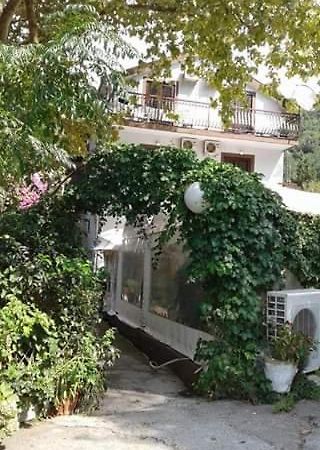 Bed and Breakfast Pansion Mimoza Херцег-Нови Экстерьер фото